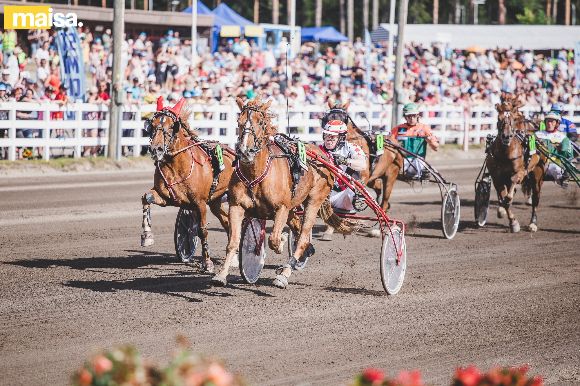Vuoden 2022 kuninkuusravit kiinnostavat hyvissä ajoin